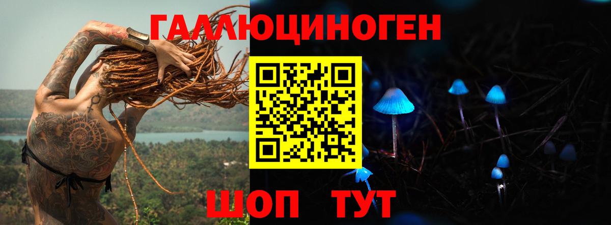 Псилоцибиновые грибы GOLDEN TEACHER Гусиноозёрск