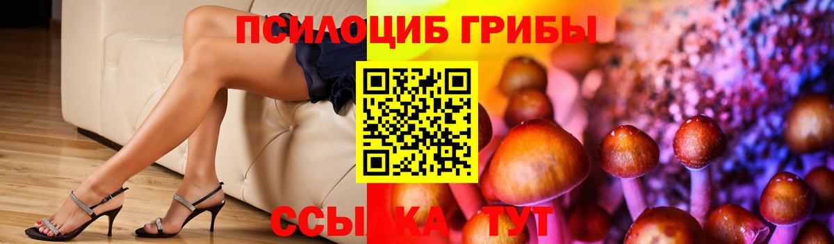 Гусиноозёрск  Галлюциногенные грибы Psilocybe  Вход с VPN 